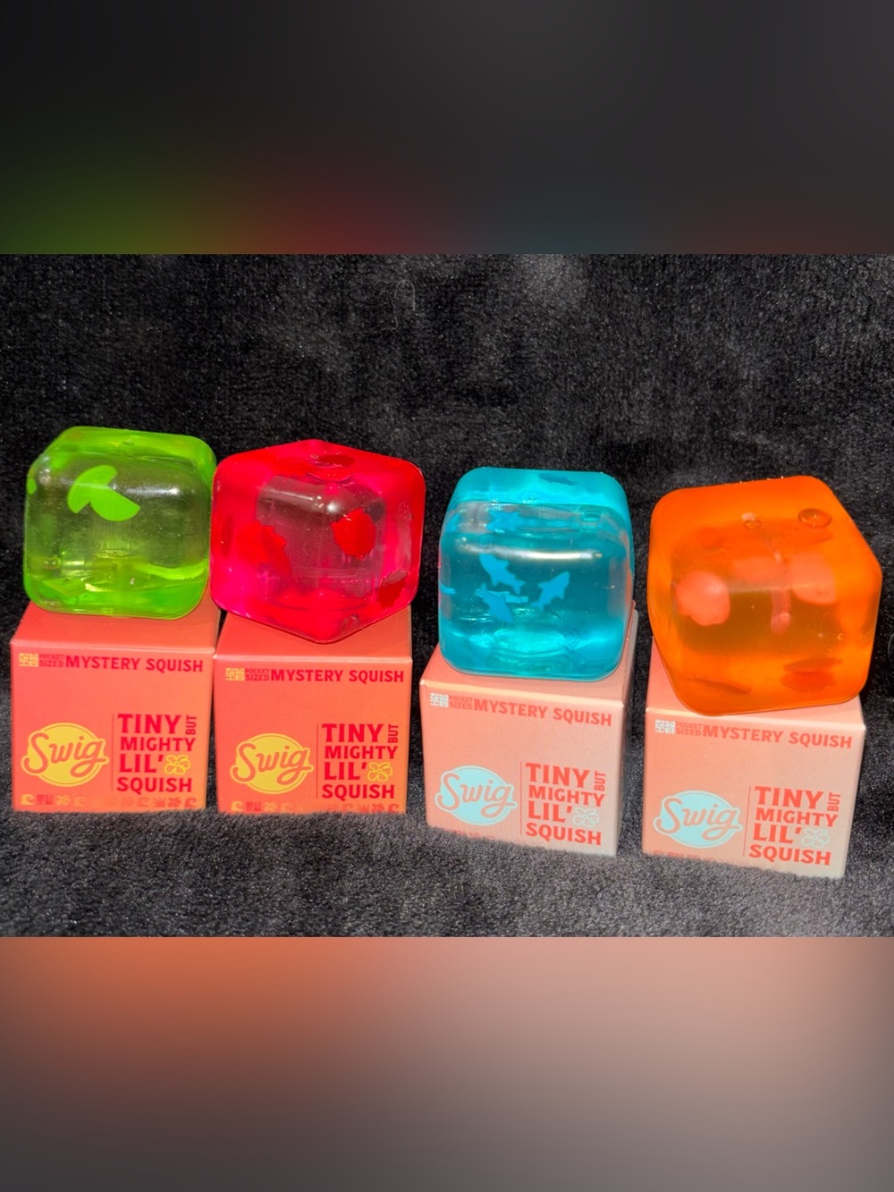 Swig Tiny Lil' Mystery Squish Fidget FULL SET